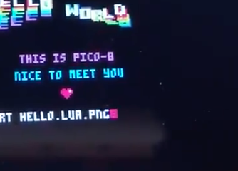 hey everyone I figured out what #pico8’s “export .lua.png” does!