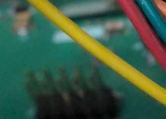 MEGA65 Summer Filehost Roundup